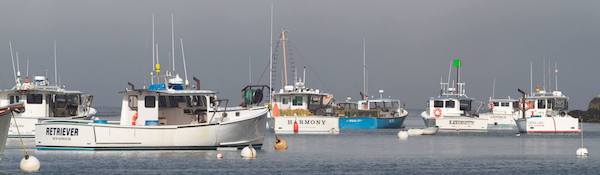 Maine Harbor